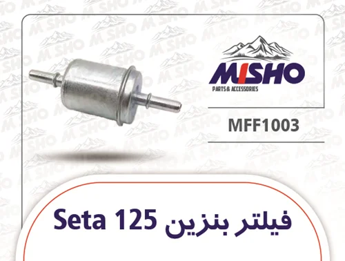 فیلتر بنزین Seta125
